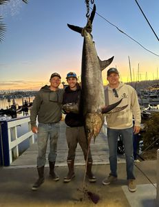 Chasing Swordfish in San Diego Bay!