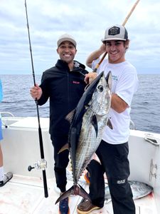 Blackfin tuna, 36-inch fish, fishing in CA