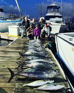 3 Blackfin Tuna fish caught while fishing in San Diego
