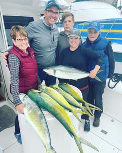 Three big fish caught during a fishing tour in San Diego