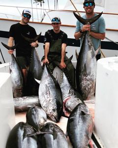 5 yellowfin tuna, blackfin tuna, and wahoo fish caught on fishing tour in CA