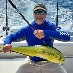 Mahi -Mahi in Atlantic Beach, NC