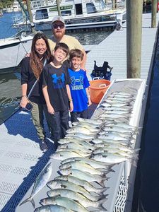 Three Bluefish caught at Atlantic Beach