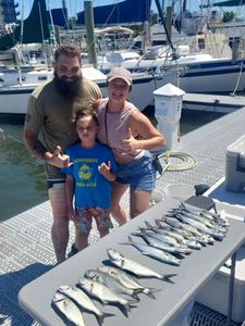 2 bluefish, fishing in NC