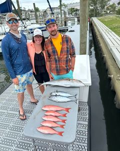 5 large fish caught at Atlantic Beach