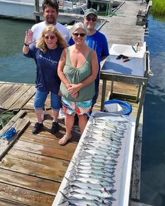 4 people fishing in NC