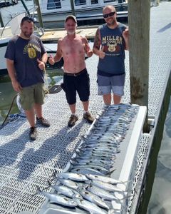 Spanish Mackerel, 16-inch fish caught in NC