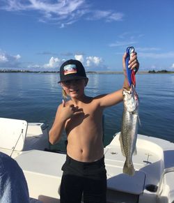 Angler holding a spotted weakfish in FL