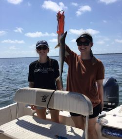 Fishing for a bull shark in FL