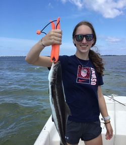 A fisherman catching a cobia in Florida