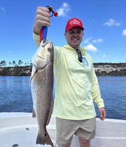 Redfish caught while fishing in Florida waters