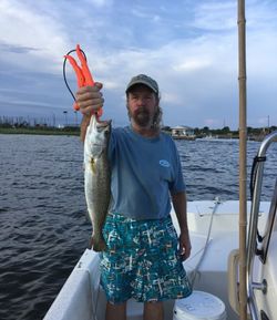 Ready to reel? Let's catch some seatrout fish! 🌞