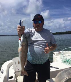 A redfish being reeled in while fishing in Florida