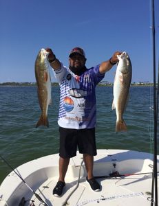 Redfish catch in FL