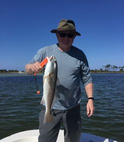 Redfish caught fishing in FL