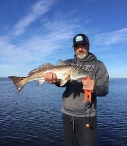 Redfish caught in FL on fishing trip