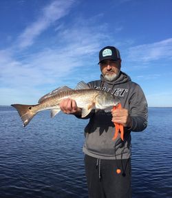 Redfish caught while fishing in Florida