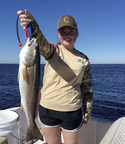 Redfish caught in Florida