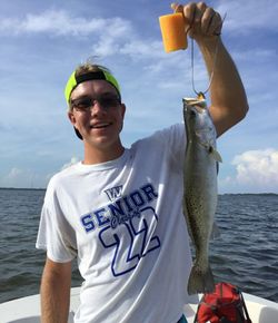 Spotted Weakfish, 16 inches, fishing in FL