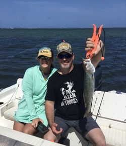Spotted weakfish in Florida