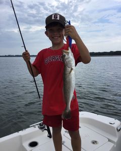 Spotted Weakfish, 20 inches, caught in Florida