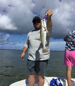 A spotted weakfish caught while fishing in Florida