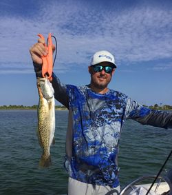 Spotted Weakfish caught while fishing in Florida