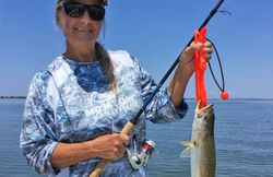 One spotted weakfish caught in Florida while fishing
