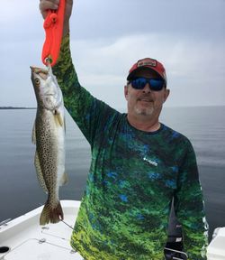 One spotted weakfish caught while fishing in Florida