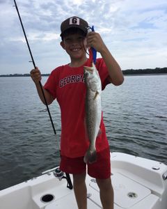 A spotted weakfish measuring 20 inches caught while fishing in Florida.