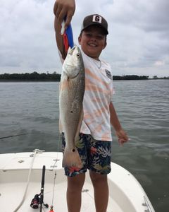 Redfish, 22 inches, caught in FL