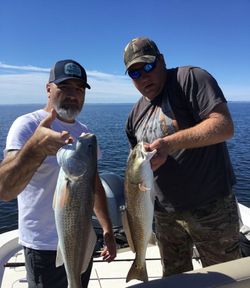 Two Redfish caught while fishing in Florida