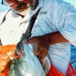 One person fishing in NY