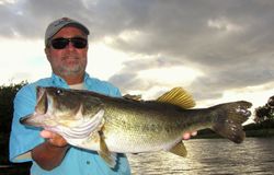 Angler with 26-inch catch in Delray Beach