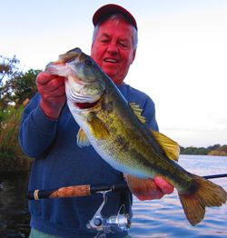 Largemouth Bass caught in FL