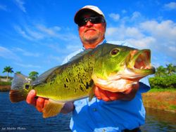 A lone angler fishing in the waters of FL