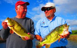 Two freshwater fish caught in Florida