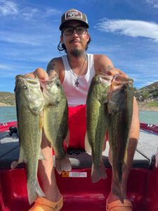 Four impressive smallmouth bass and largemouth bass caught in Fritch