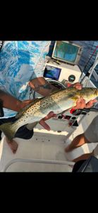 Spotted Weakfish caught in Fritch