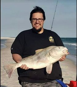 Angler with a big black drum fish in FL