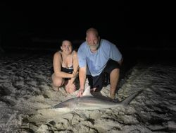 Blacktip shark, 41 inches, fishing in FL