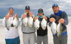 8 Florida Pompano and Permit fish caught by 4 people in FL