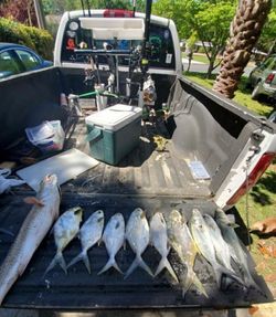 8 Florida Pompano and Permit fish caught in FL