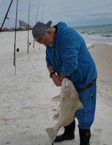 Fishing adventure in FL