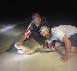Gulf Shore Fishing At Night 