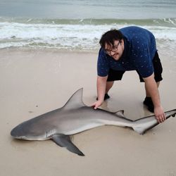 Florida Shark Fishing With Captain Jeremy