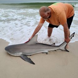 Surf Fishing In Pensacola 