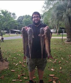 3 big fishing catches in Pensacola