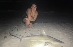 Sandbar shark measuring 49 inches, caught while fishing in FL