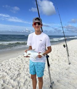 Permit fish caught in Pensacola